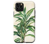 Lucky Bamboo Vintage Illustration scientifique Plante Coque pour iPhone 11 Pro