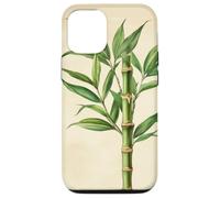 Lucky Bamboo Vintage Illustration scientifique Plante Coque pour iPhone 12/12 Pro