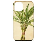 Lucky Bamboo Vintage Illustration scientifique Plante Coque pour iPhone 12/12 Pro