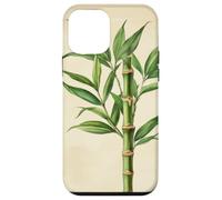 Lucky Bamboo Vintage Illustration scientifique Plante Coque pour iPhone 12 mini
