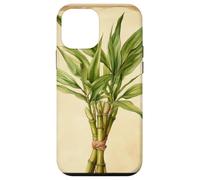 Lucky Bamboo Vintage Illustration scientifique Plante Coque pour iPhone 12 mini
