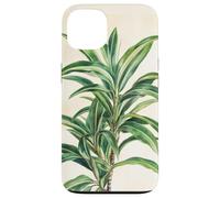 Lucky Bamboo Vintage Illustration scientifique Plante Coque pour iPhone 13