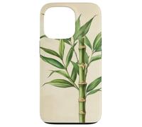 Lucky Bamboo Vintage Illustration scientifique Plante Coque pour iPhone 13 Pro