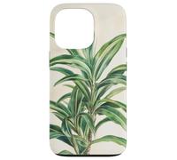 Lucky Bamboo Vintage Illustration scientifique Plante Coque pour iPhone 13 Pro