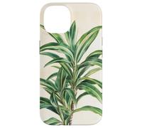 Lucky Bamboo Vintage Illustration scientifique Plante Coque pour iPhone 14