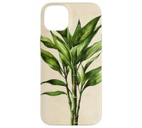 Lucky Bamboo Vintage Illustration scientifique Plante Coque pour iPhone 14 Plus