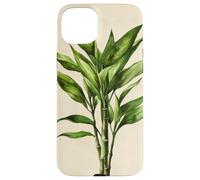 Lucky Bamboo Vintage Illustration scientifique Plante Coque pour iPhone 15 Plus