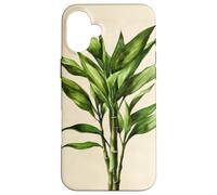 Lucky Bamboo Vintage Illustration scientifique Plante Coque pour iPhone 16 Plus