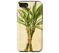 Lucky Bamboo Vintage Illustration scientifique Plante Coque pour iPhone SE (2020) / 7 / 8