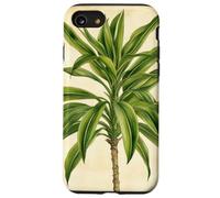 Lucky Bamboo Vintage Illustration scientifique Plante Coque pour iPhone SE (2020) / 7 / 8