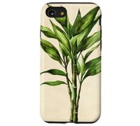 Lucky Bamboo Vintage Illustration scientifique Plante Coque pour iPhone SE (2020) / 7 / 8