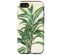Lucky Bamboo Vintage Illustration scientifique Plante Coque pour iPhone SE (2020) / 7 / 8