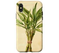 Lucky Bamboo Vintage Illustration scientifique Plante Coque pour iPhone X/XS