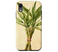 Lucky Bamboo Vintage Illustration scientifique Plante Coque pour iPhone XR