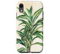 Lucky Bamboo Vintage Illustration scientifique Plante Coque pour iPhone XR