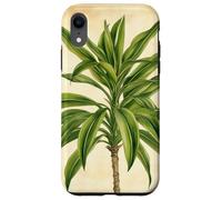 Lucky Bamboo Vintage Illustration scientifique Plante Coque pour iPhone XR