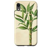 Lucky Bamboo Vintage Illustration scientifique Plante Coque pour iPhone XR