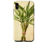 Lucky Bamboo Vintage Illustration scientifique Plante Coque pour iPhone XS Max
