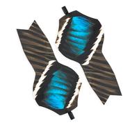 Lucky Duck - Ailes XHDi