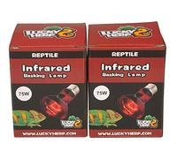 LUCKY HERP Lot de 2 ampoules chauffantes infrarouges pour reptiles, E27, filetage à vis (75 W)