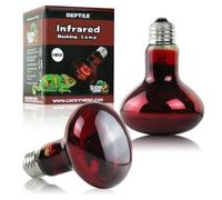 LUCKY HERP Lot de 2 ampoules chauffantes pour reptiles 100 W, ampoule infrarouge pour amphibiens, ampoule chauffante pour reptiles pour tortue, dragon barbu, lézard, etc