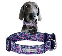 Lucky Love Dog Collier large | Collier parfait pour les chiens avec de grandes têtes et un cou (Primrose, XL)