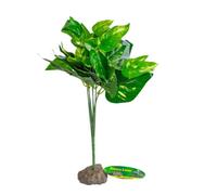 Lucky Reptile 64634 Scindapsus Vert sur Socle en Pierre 0,138 kg
