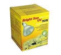 Lucky Reptile Bright Soleil UV Désert 70 Watt - Uva Uvb Halogénures Métalliques