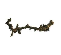 Lucky Reptile DLD-S Branche décorative pour Terrarium Foncé