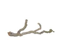 Lucky Reptile DLT-M Tronchos Branche décorative pour Terrarium 90-120 cm