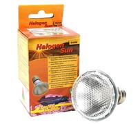 Lucky Reptile Halogen Sun - Chauffage 50W pour douilles E27 - Chauffage halogène pour reptiles - Lampe de terrarium avec spectre de lumière du jour - Lampe chauffante dimmable