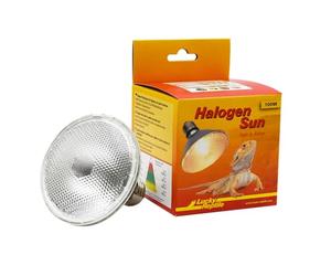 Lucky Reptile halogène 63403 Soleil 100 W lampe chauffante pour douille E27 ,lampe chauffante à intensité variable-accessoires pour terrarium , distance minimale : >50cm