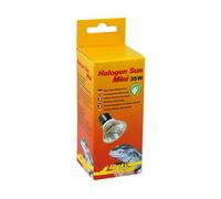 Lucky Reptile - Halogène Sun Mini Double Pack - 35W