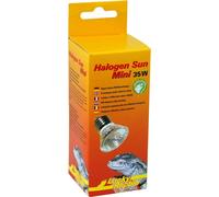 Lucky Reptile - Halogène Sun Mini Double Pack - 35W