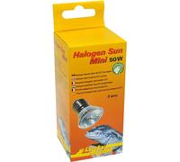 Lucky Reptile Halogène Soleil Mini- 2x 50W Spot Tache Terrarium Lampe Reptiles