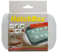 Lucky Reptile Hatch Box - Boîte porteuse pour l'incubation des œufs de Reptiles - Incubateur pour Max. 12 œufs - Boîte d'élevage avec thermomètre - Incubateur Transparent pour couveuses