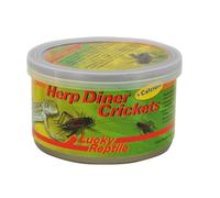 Lucky Reptile Herp Diner Grands Crickets 35 g