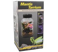 Lucky Reptile Insectarrium - Mantis