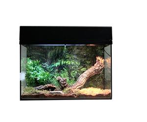 Lucky Reptile - Kit de démarrage araignée & Scorpion 50 cm - Kit Complet araignées et Scorpions - Kit Terrarium de Haute qualité avec Accessoires pour débutants - Kit de démarrage en Noir