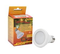 Lucky Reptile LED Sun Flood 6,5 Watt - Lampe LED pour Douille E27 - Lampe pour Terrarium avec Une Puissance Lumineuse impressionnante - pour Terrarium - Eclairage du Terrarium 1 pc