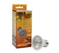Lucky Reptile LED Sun Mini 5 Watt - Mini Spot LED pour Douille E27 - Lampe pour Terrarium avec Puissance Lumineuse impressionnante - Lampe pour Terrarium - Éclairage du Terrarium 1 pc