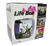 Lucky Reptile Life Box Terrarium Design
