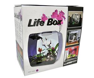 Lucky Reptile Life Box Terrarium Design
