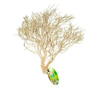 Lucky Reptile Mélange Blanchi de buisson du désert