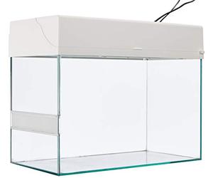 Lucky Reptile Serpent Starter Kit 50 cm - Terrarium Complet de Haute qualité pour l'élevage de Petits ou Jeunes Serpents - Starter Set Serpents pour débutants en Blanc
