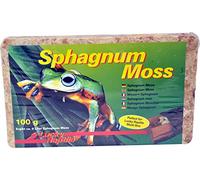 Lucky Reptile Sphagnum Moss - 100 g Brique de Mousse pour Terrarium - Augmente l'humidité de l'air - Mousse de Culture contrôlée pour orchidées & broméliacées - Accessoire pour Reptiles