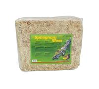 Lucky Reptile Sphagnum Moss - 500 g Brique de Mousse pour Terrarium - Augmente l'humidité de l'air - Mousse de Culture contrôlée pour orchidées & broméliacées - Accessoire pour Reptiles