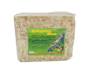 Lucky Reptile Sphagnum Moss - 500 g Brique de Mousse pour Terrarium - Augmente l'humidité de l'air - Mousse de Culture contrôlée pour orchidées & broméliacées - Accessoire pour Reptiles