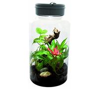 Lucky Reptiles - Insect Tarrium 5L " Classique" Lucky Reptile