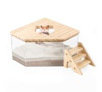 Lucxhcky Bac de bain de sable pour hamster, gerbille, sable, hamster, bac à litière pour hamster, chinchilla, accessoires de bain pour hamster (pentagon+échelle) (salle de bain + échelle)